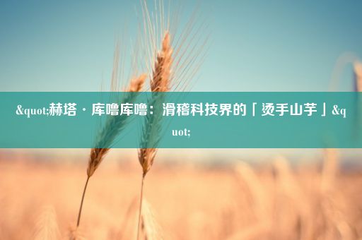 "赫塔·库噜库噜：滑稽科技界的「烫手山芋」"