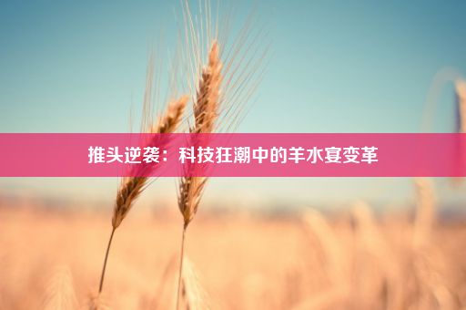 推头逆袭：科技狂潮中的羊水宴变革