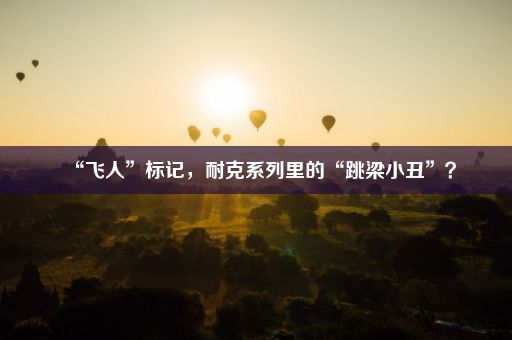 “飞人”标记，耐克系列里的“跳梁小丑”？