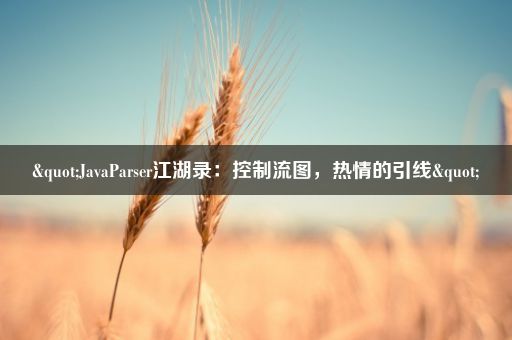 "JavaParser江湖录：控制流图，热情的引线"