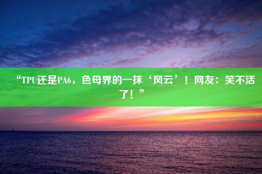 “TPU还是PA6，色母界的一抹‘风云’！网友：笑不活了！”