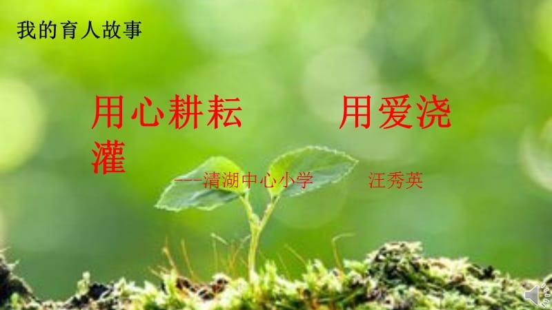 爱的耕耘，网友戏谑里见真章