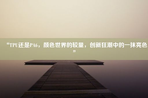 “TPU还是PA6，颜色世界的较量，创新狂潮中的一抹亮色”