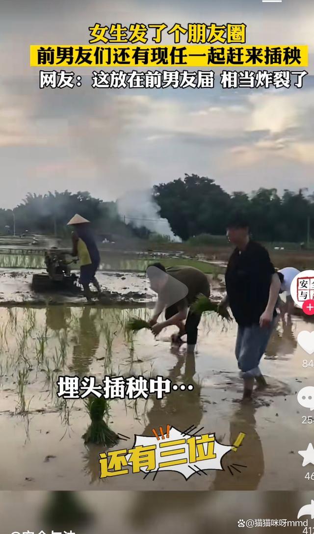 插秧新潮流？笑谈男友的科技农业梦