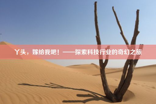 丫头，嫁给我吧！——探索科技行业的奇幻之旅