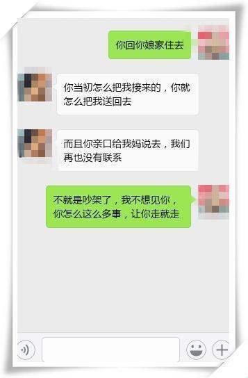 “哎呦，咱成了‘科技界儿媳妇’？笑谈网络新潮流！”