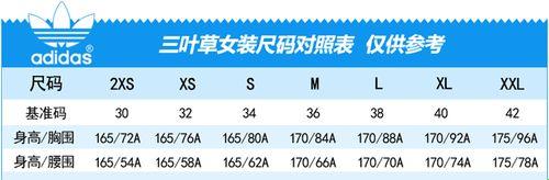 三叶草的欧洲码与天堂：探寻科技新星的崛起