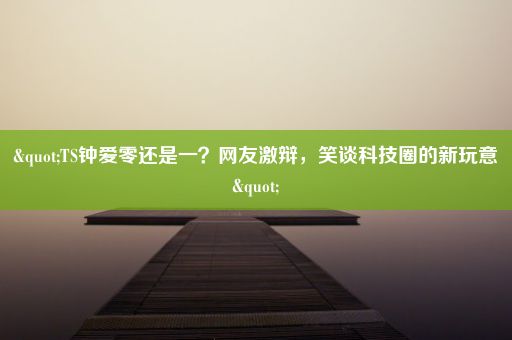 "TS钟爱零还是一？网友激辩，笑谈科技圈的新玩意"