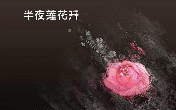 《夜半莲花开，热度非凡间：科技圈里的网民热议怪象》