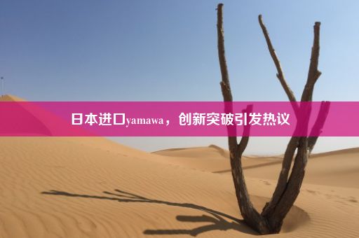 日本进口yamawa，创新突破引发热议