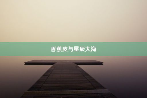 香蕉皮与星辰大海