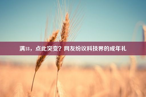 满18，点此突变？网友纷议科技界的成年礼