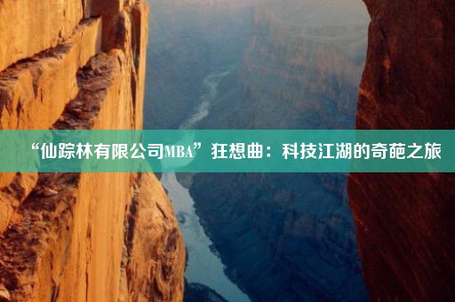 “仙踪林有限公司MBA”狂想曲：科技江湖的奇葩之旅