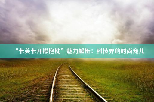 “卡芙卡开襟抱枕”魅力解析：科技界的时尚宠儿