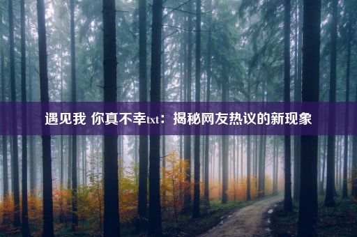 遇见我 你真不幸txt：揭秘网友热议的新现象