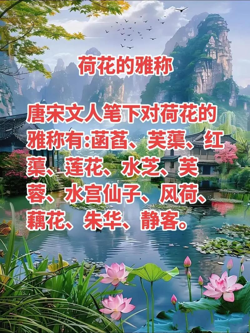 “娇花婉柔，镇国公引发的网路喧嚣”