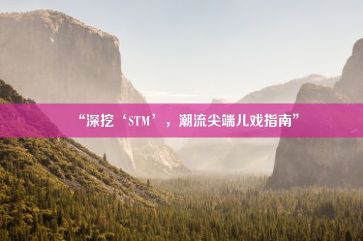 “深挖‘STM’，潮流尖端儿戏指南”