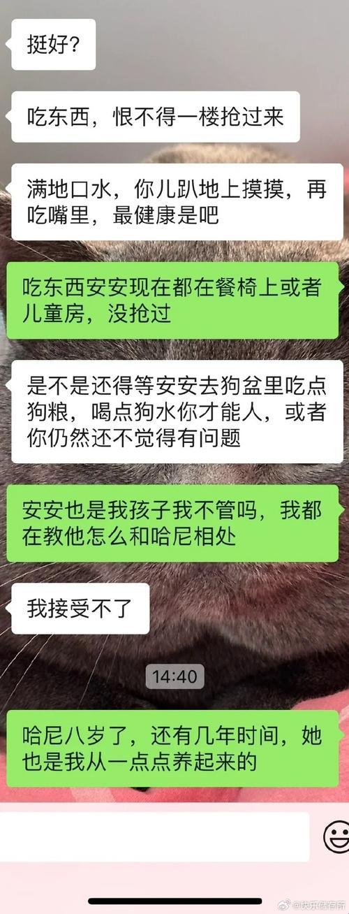 “不在家老公的狗狗物语：能否一‘狗’两得？”