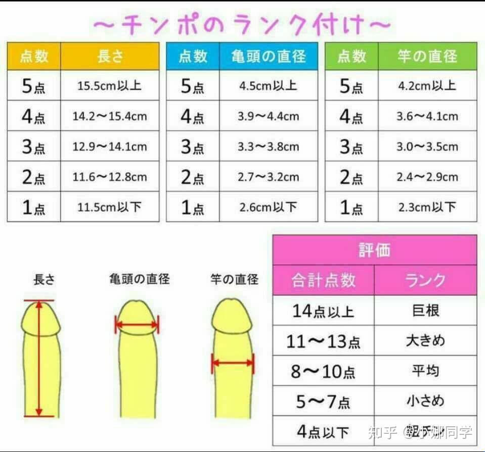 “男生多长”引爆科技圈，揭秘幽默背后的另类标准