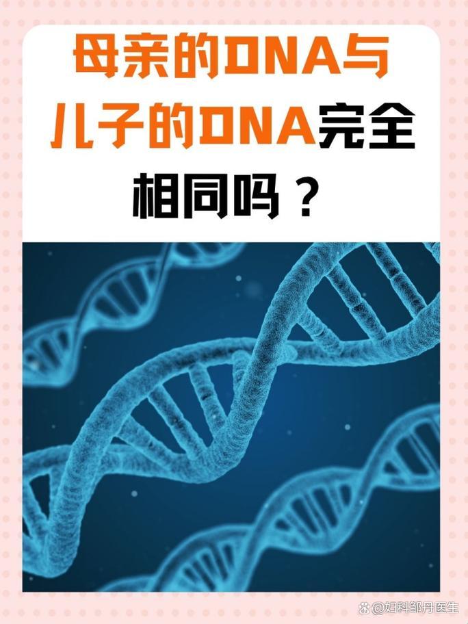 “DNA奇缘：母子间的基因纠缠，新星崛起的秘密”