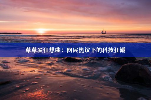 草草爱狂想曲：网民热议下的科技狂潮