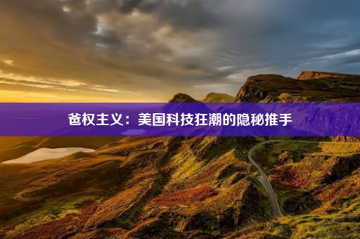 爸权主义：美国科技狂潮的隐秘推手