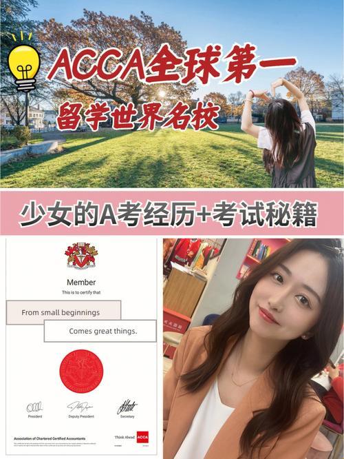 “ACCA少女网课韩国”引发的幽默暴走：笑cry全场的背后真相！