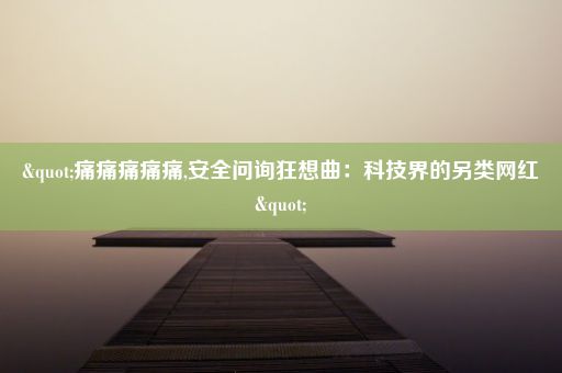 "痛痛痛痛痛,安全问询狂想曲：科技界的另类网红"