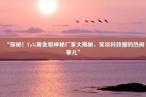 “探秘！TaXi黄金炮神秘厂家大揭秘，笑谈科技圈的热闹事儿”