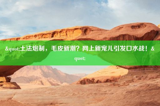 "土法炮制，毛皮新潮？网上新宠儿引发口水战！"