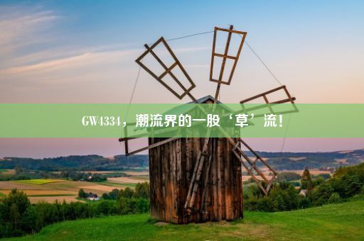 GW4334，潮流界的一股‘草’流！