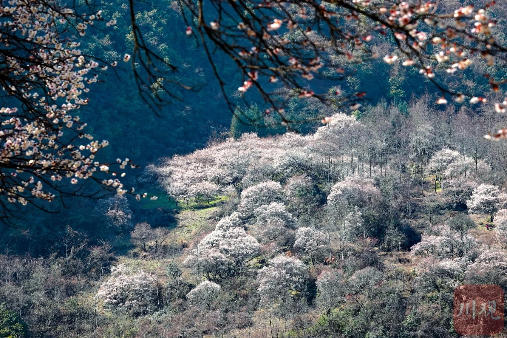 《山村诡谲：桃花源外的科技魅影》