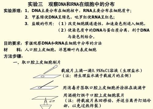 "DNA探秘：人类与驴的基因，竟有如此异曲同工之妙！"