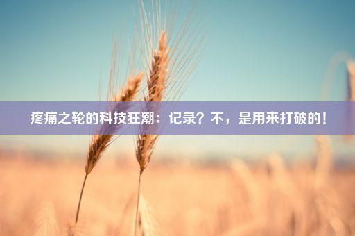 疼痛之轮的科技狂潮：记录？不，是用来打破的！