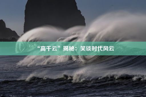 “高干云”揭秘：笑谈时代风云