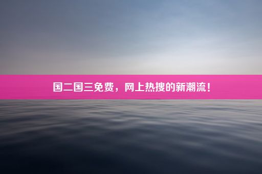 国二国三免费，网上热搜的新潮流！