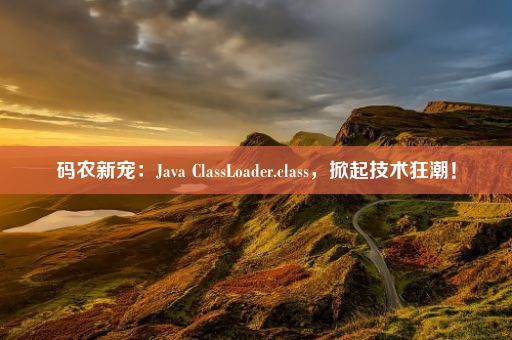 码农新宠：Java ClassLoader.class，掀起技术狂潮！