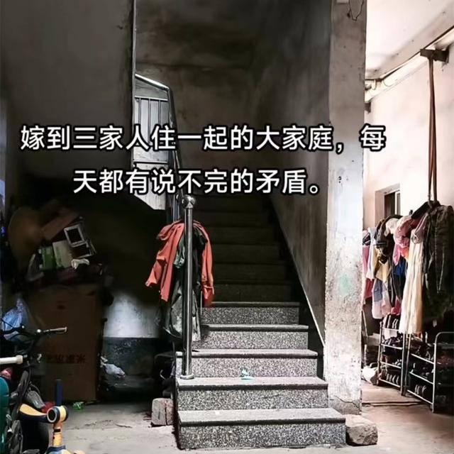 《奇葩姻缘：三兄弟科技界传奇婚事，笑谈突破天际线》