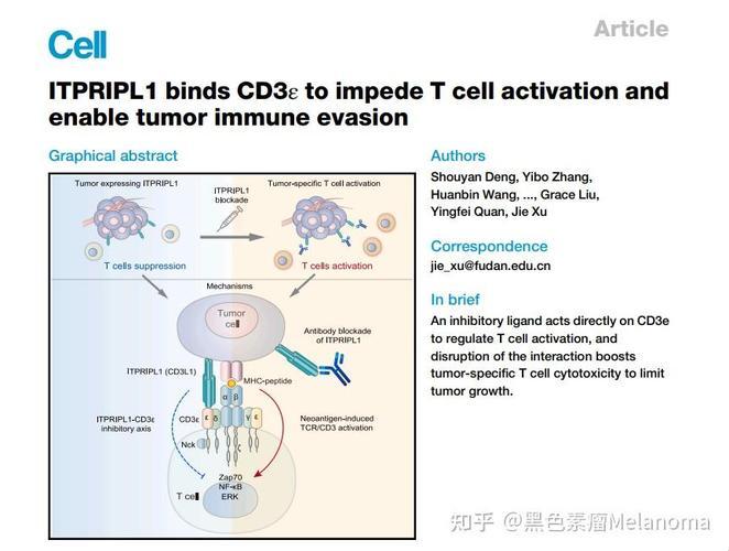 教授H1vl1，这温度不止是创新，简直是热辣烫手！