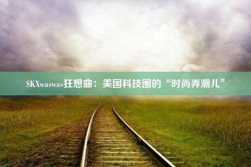 SKXwaswas狂想曲：美国科技圈的“时尚弄潮儿”