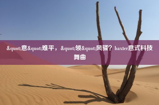 "意"难平，"领"风骚？baxter意式科技舞曲