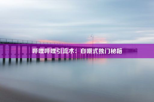 哔哩哔哩引流术：自嘲式独门秘籍