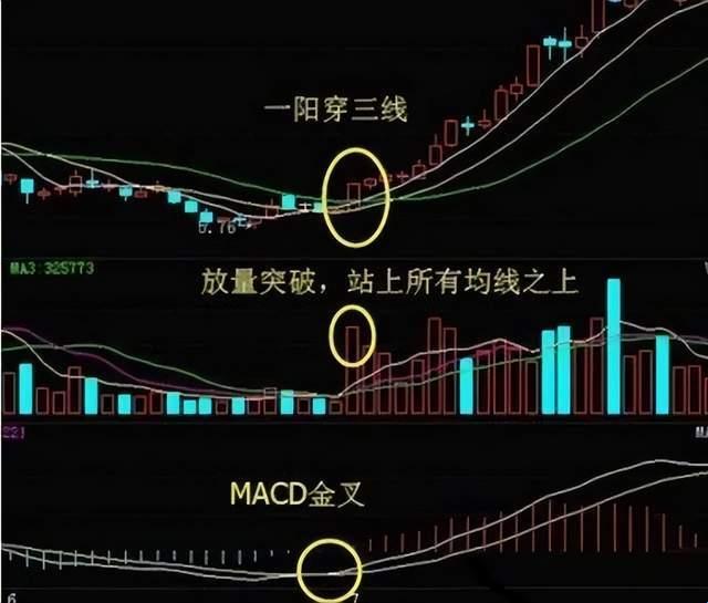 "一阴吞三阳"，笑谈科技圈里的蛇吞象