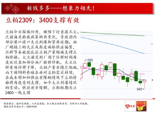 "骇网金库新版亮相：笑谈科技界的'金光闪闪'"