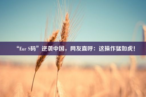 “Eur S码”逆袭中国，网友直呼：这操作猛如虎！