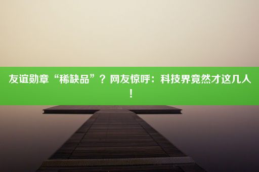 友谊勋章“稀缺品”？网友惊呼：科技界竟然才这几人！