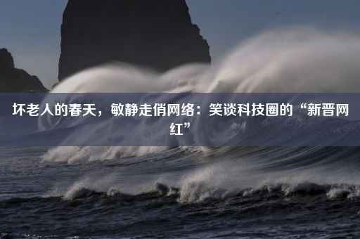 坏老人的春天，敏静走俏网络：笑谈科技圈的“新晋网红”