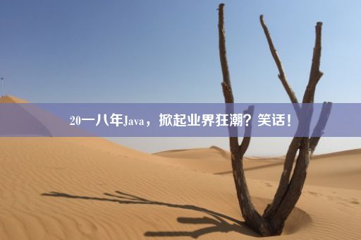 20一八年Java，掀起业界狂潮？笑话！