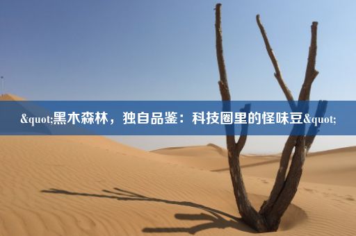 "黑木森林，独自品鉴：科技圈里的怪味豆"