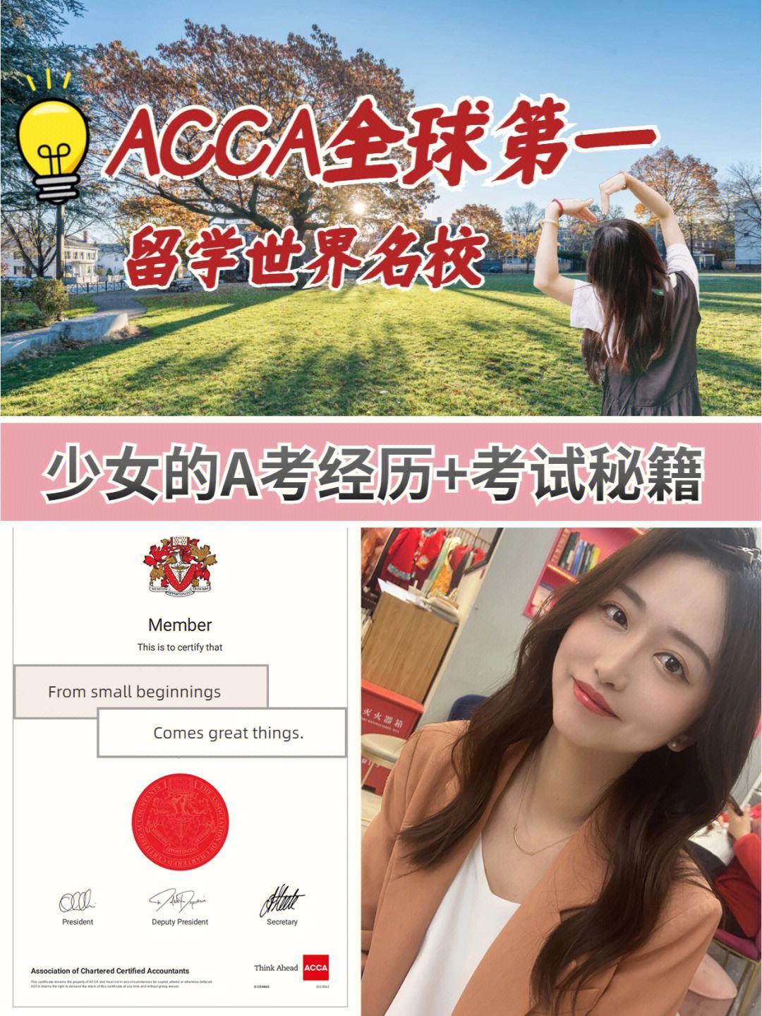 “ACCA少女sDANVI”：一句惊天地，笑喷科技圈！